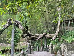 -严子陵钓台(富春江小三峡)