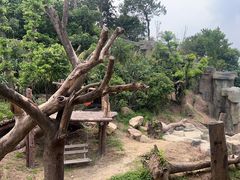 -宁波野生动物园