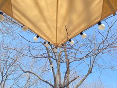 -Supine Bistro溯泮餐厅