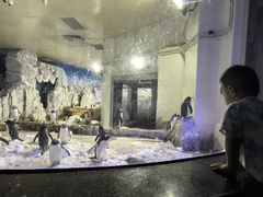 -成都浩海立方海洋公园