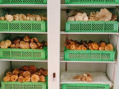 -山菌美食苑(振兴路店)