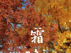 -东升八家郊野公园