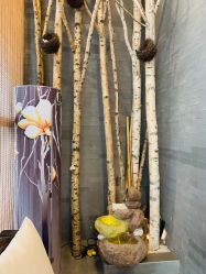 -至爱至信新中式SPA疗愈会所