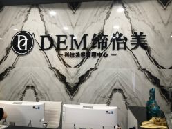 -DEM缔怡美科技美容