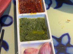 -撒拉花儿·新疆菜·清真(太阳宫店)