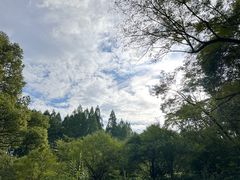 -杭州半山国家森林公园