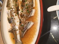-鲁菜根·泰山菜(泰山店)