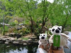 -红山森林动物园