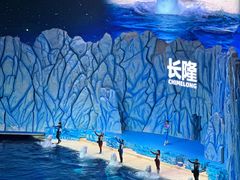 -珠海长隆海洋王国