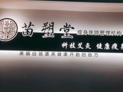-苗塑堂减肥艾灸
