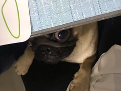 -蓝鲸湾汤泉(包河店)