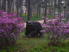-黑龙江省森林植物园