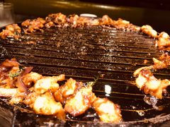-燚店·铁板鱼蛙·烤肉·烤串(北新桥店)