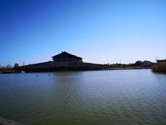 -宁波杭州湾国家湿地公园