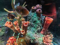 -沈阳海洋探索中心