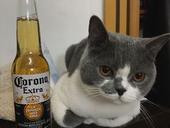 -串一火锅(赛格国际购物中心店)