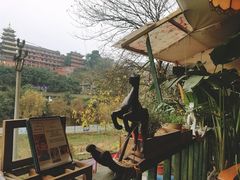 -懒鱼时光馆(沙坪坝店)