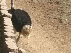 -石家庄市动物园