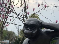 -成飞公园
