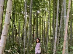 -青龙山国家森林公园