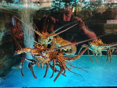 -金翠皇宫粤菜·点心·海鲜(科技园店)