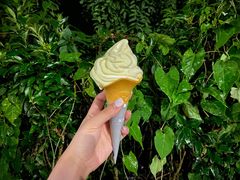 日向夏柑橘双旋冰淇淋花筒-肯德基(孝陵卫地铁站店)