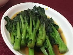 -蓝冰洋