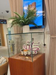 -天津伊美尔医疗整形美容专科医院