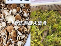 -三锅莊·牦牛肉火锅·香格里拉特色藏餐宴请餐厅(昆明创始店)