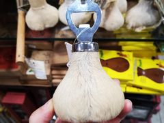 -悉尼歌剧院