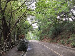 -大雁山风景区