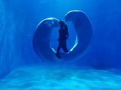 -多彩贵州城极地海洋世界