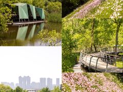 -西湖风景区-江洋畈生态公园