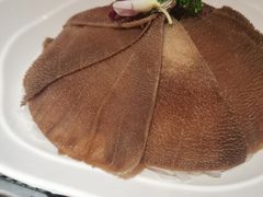 -九码头重庆毛肚火锅(棠岗店)