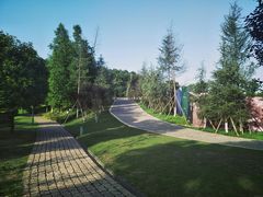 -铁山坪森林公园