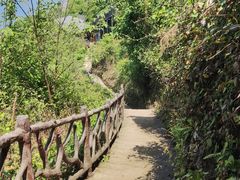 -仙岛湖旅游风景区