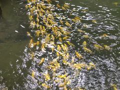 -南宫五洲植物乐园