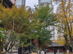 -古大圣慈寺