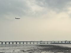 -宝安西湾红树林湿地公园