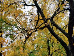 -白塘生态植物园