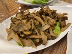 野菌-四姑娘山阿巴郎·藏式花园餐厅