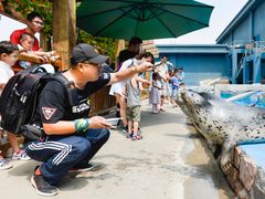 -泉城欧乐堡海洋极地世界