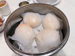 虾饺皇-金凯旋宫