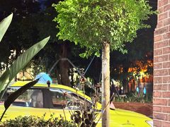 -LESCEDARS Brasserie Bistro香柏树