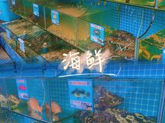 -范饭椰林川湘味海鲜·椰子鸡(三亚湾椰梦长廊店)