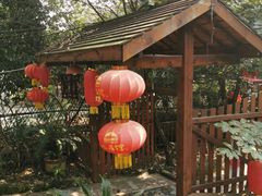 -张鸟园农家乐(张鸟园店)