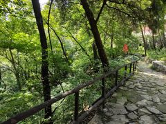 -北京上方山国家森林公园