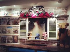 -济州岛泰迪熊博物馆