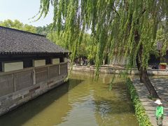 -鲁镇