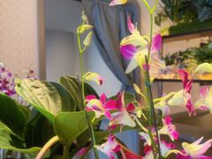 -漢舍川菜馆(国贸商城店)